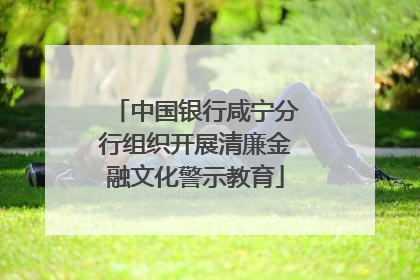 中国银行咸宁分行组织开展清廉金融文化警示教育