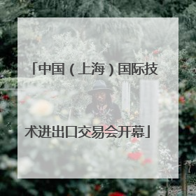 中国（上海）国际技术进出口交易会开幕