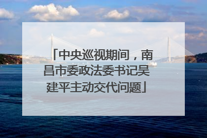 中央巡视期间，南昌市委政法委书记吴建平主动交代问题
