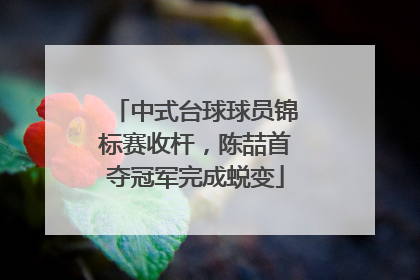 中式台球球员锦标赛收杆，陈喆首夺冠军完成蜕变