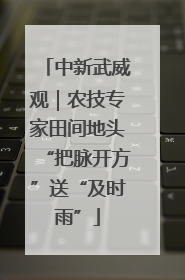 中新武威观｜农技专家田间地头“把脉开方”送“及时雨”