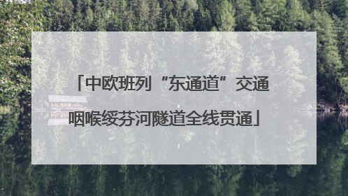 中欧班列“东通道”交通咽喉绥芬河隧道全线贯通