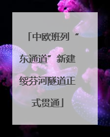 中欧班列“东通道”新建绥芬河隧道正式贯通
