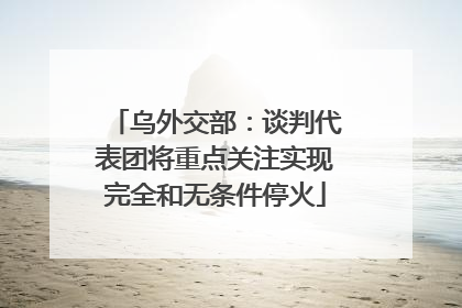乌外交部：谈判代表团将重点关注实现完全和无条件停火