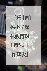 乐山柏杨小学深化教育对口帮扶工作建设