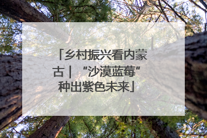 乡村振兴看内蒙古｜“沙漠蓝莓”种出紫色未来