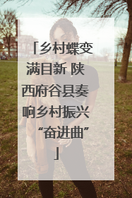 乡村蝶变满目新 陕西府谷县奏响乡村振兴“奋进曲”