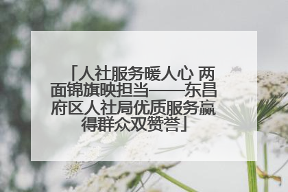 人社服务暖人心 两面锦旗映担当——东昌府区人社局优质服务赢得群众双赞誉