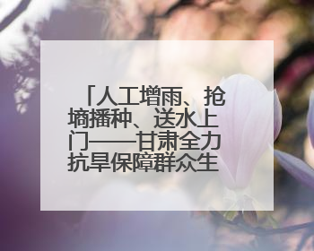 人工增雨、抢墒播种、送水上门——甘肃全力抗旱保障群众生产生活