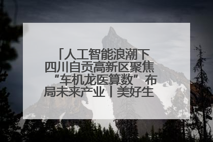 人工智能浪潮下 四川自贡高新区聚焦“车机龙医算数”布局未来产业丨美好生活有“盐”味