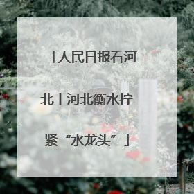 人民日报看河北丨河北衡水拧紧“水龙头”