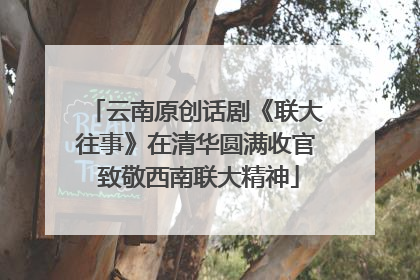 云南原创话剧《联大往事》在清华圆满收官 致敬西南联大精神