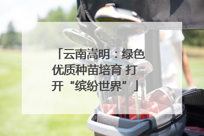 云南嵩明：绿色优质种苗培育 打开“缤纷世界”
