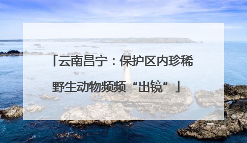 云南昌宁：保护区内珍稀野生动物频频“出镜”