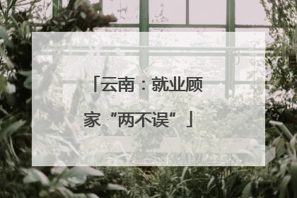 云南：就业顾家“两不误”