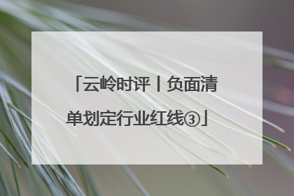 云岭时评丨负面清单划定行业红线③