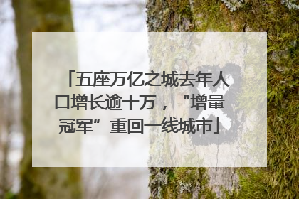 五座万亿之城去年人口增长逾十万，“增量冠军”重回一线城市