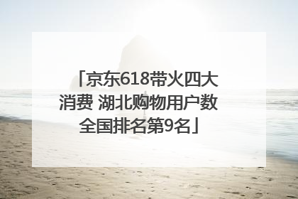 京东618带火四大消费 湖北购物用户数全国排名第9名