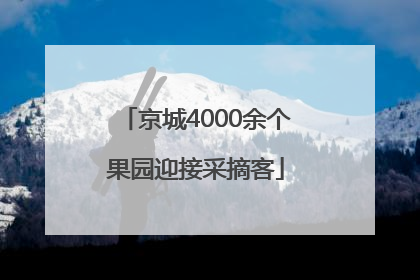 京城4000余个果园迎接采摘客