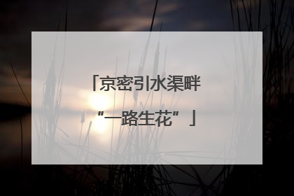 京密引水渠畔“一路生花”