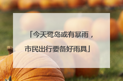 今天鹭岛或有暴雨，市民出行要备好雨具