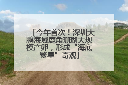 今年首次！深圳大鹏海域鹿角珊瑚大规模产卵，形成“海底繁星”奇观