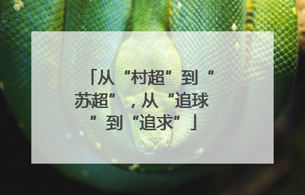 从“村超”到“苏超”，从“追球”到“追求”
