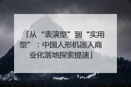 从“表演型”到“实用型”：中国人形机器人商业化落地探索提速