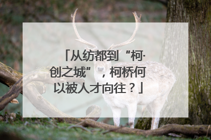 从纺都到“柯·创之城”，柯桥何以被人才向往？
