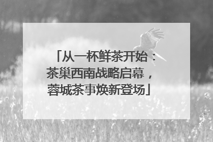 从一杯鲜茶开始：茶巢西南战略启幕，蓉城茶事焕新登场