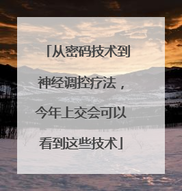 从密码技术到神经调控疗法，今年上交会可以看到这些技术