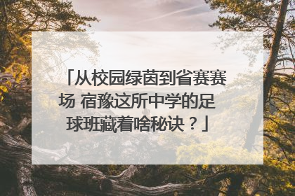 从校园绿茵到省赛赛场 宿豫这所中学的足球班藏着啥秘诀？