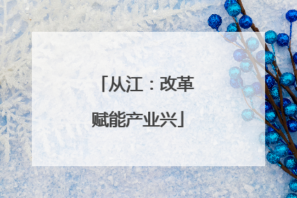 从江：改革赋能产业兴