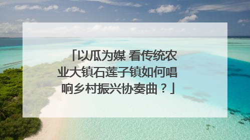 以瓜为媒 看传统农业大镇石莲子镇如何唱响乡村振兴协奏曲？