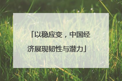 以稳应变，中国经济展现韧性与潜力