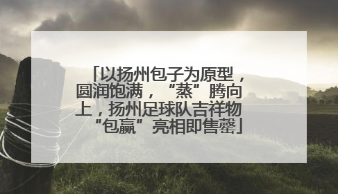 以扬州包子为原型，圆润饱满，“蒸”腾向上，扬州足球队吉祥物“包赢”亮相即售罄