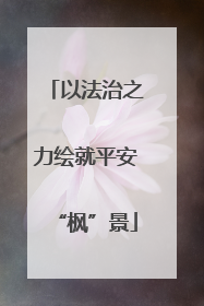 以法治之力绘就平安“枫”景