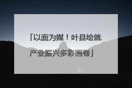 以面为媒！叶县绘就产业振兴多彩画卷