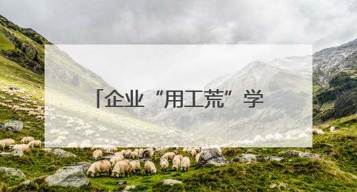 企业“用工荒”学子“求职难”，这场“及时雨行动”变“两难”为“双赢”