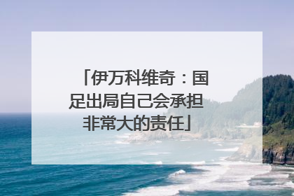 伊万科维奇：国足出局自己会承担非常大的责任
