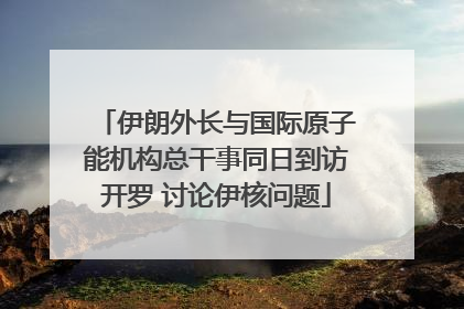 伊朗外长与国际原子能机构总干事同日到访开罗 讨论伊核问题