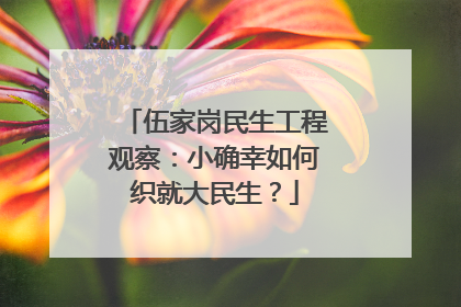 伍家岗民生工程观察：小确幸如何织就大民生？