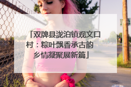 双牌县泷泊镇观文口村：粽叶飘香承古韵 乡情凝聚展新篇