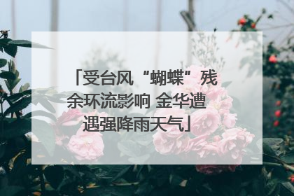 受台风“蝴蝶”残余环流影响 金华遭遇强降雨天气