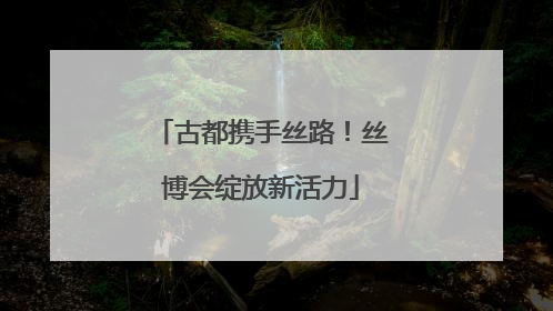 古都携手丝路！丝博会绽放新活力