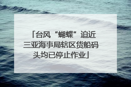 台风“蝴蝶”迫近 三亚海事局辖区货船码头均已停止作业