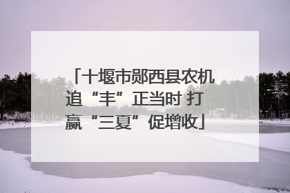 十堰市郧西县农机追“丰”正当时 打赢“三夏”促增收