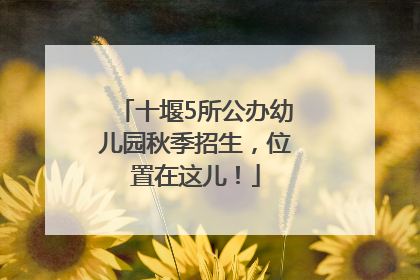 十堰5所公办幼儿园秋季招生，位置在这儿！