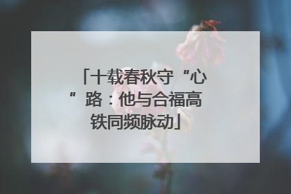 十载春秋守“心”路：他与合福高铁同频脉动