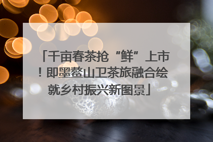 千亩春茶抢“鲜”上市！即墨鳌山卫茶旅融合绘就乡村振兴新图景
